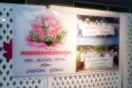 โครงการศึกษาดูงานอสม.2009