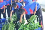 โครงการอนุรักษ์พันธุกรรมพืชอันเนื่องมาจากพระราชดำริ ประจำปีง