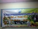 โครงการอาหารปลอดสารปนเปื้อน